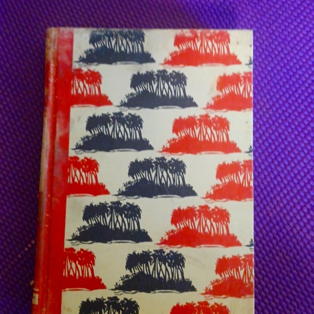 The Swiss family Robinson
